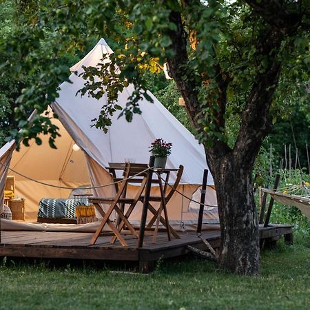 Dragonfly Gardens Urban Glamping Brasov Hotel Exterior photo