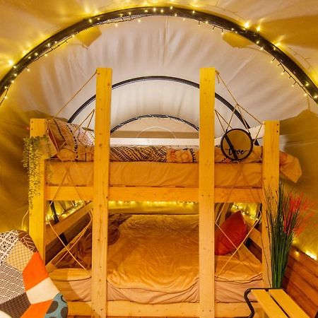 Dragonfly Gardens Urban Glamping Brasov Hotel Exterior photo