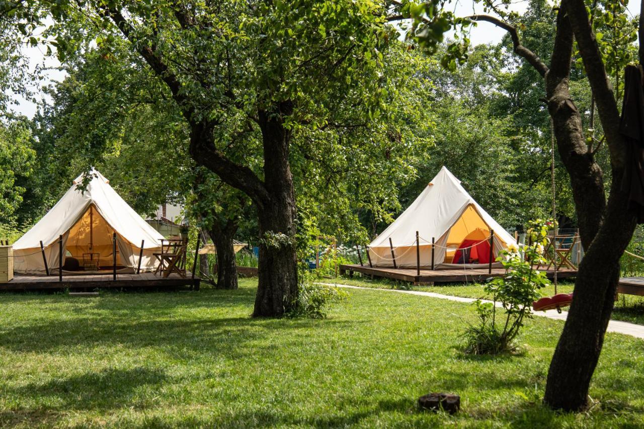 Dragonfly Gardens Urban Glamping Brasov Hotel Exterior photo