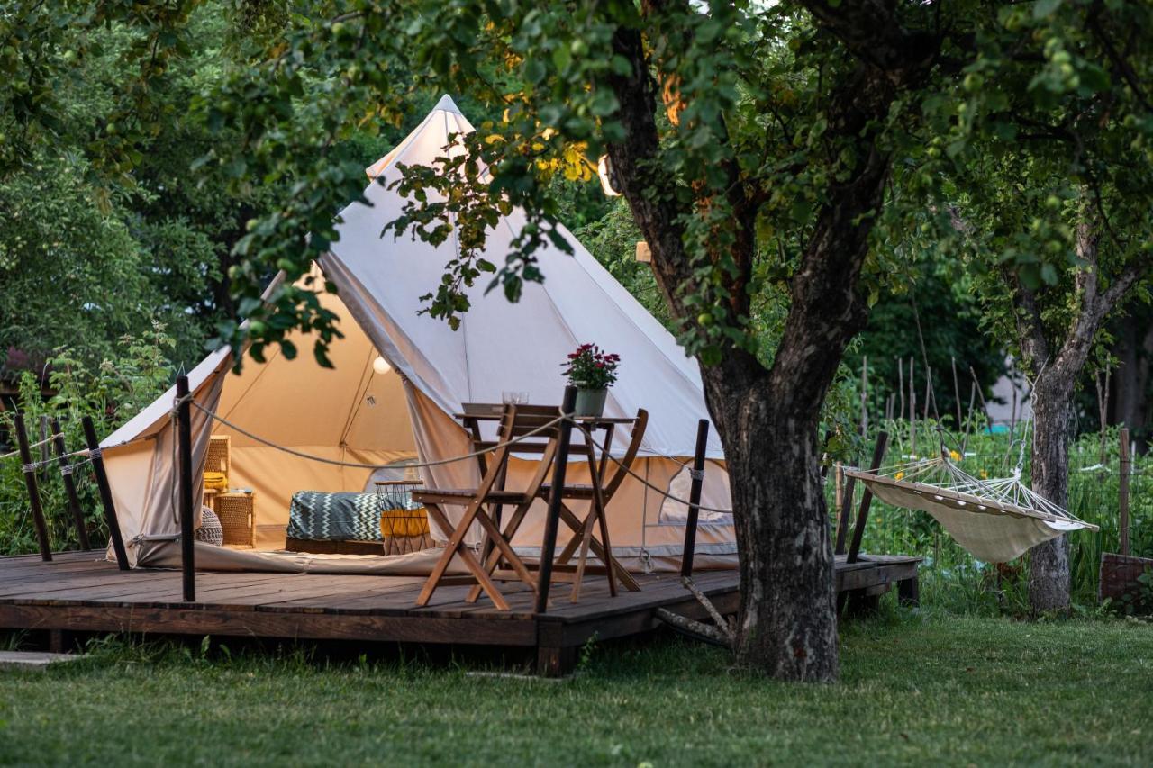 Dragonfly Gardens Urban Glamping Brasov Hotel Exterior photo