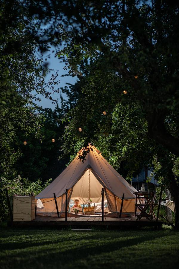 Dragonfly Gardens Urban Glamping Brasov Hotel Exterior photo
