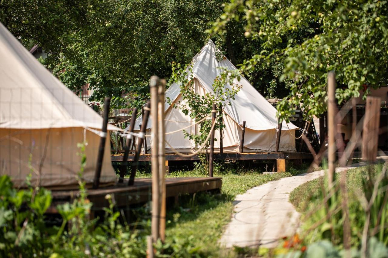 Dragonfly Gardens Urban Glamping Brasov Hotel Exterior photo