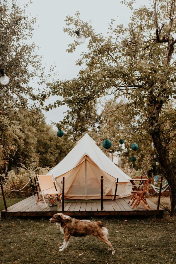 Dragonfly Gardens Urban Glamping Brasov Hotel Exterior photo