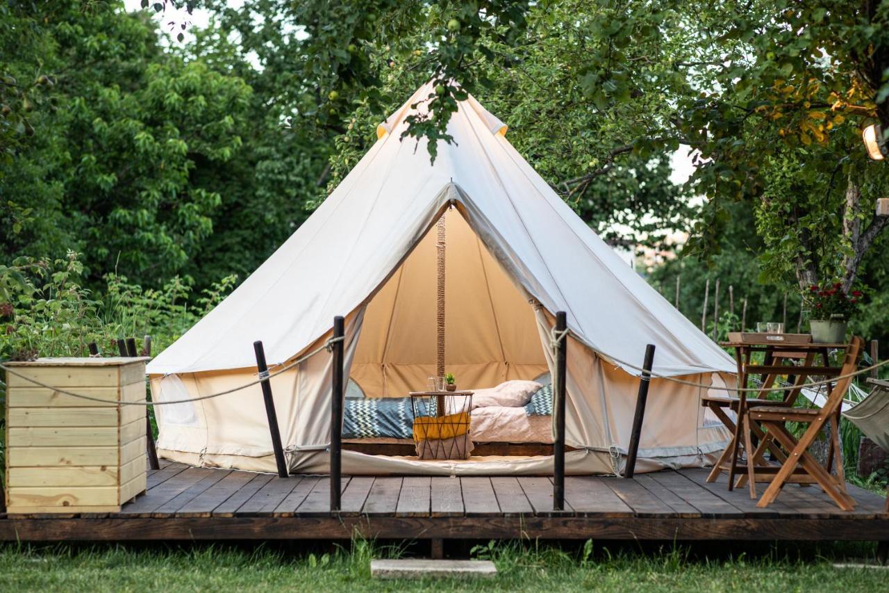 Dragonfly Gardens Urban Glamping Brasov Hotel Exterior photo