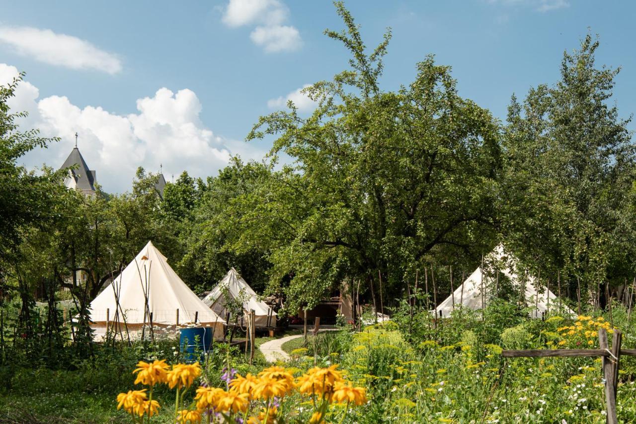Dragonfly Gardens Urban Glamping Brasov Hotel Exterior photo