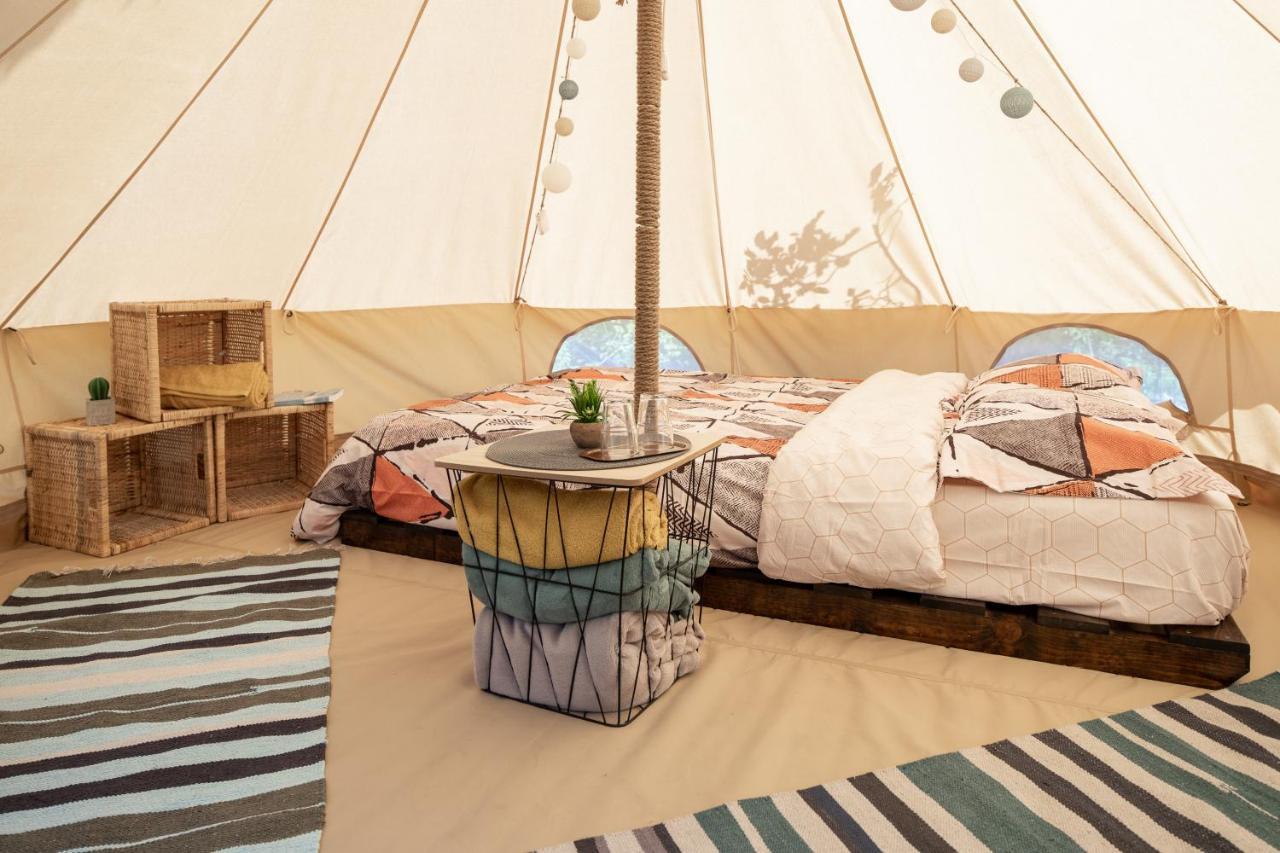 Dragonfly Gardens Urban Glamping Brasov Hotel Exterior photo
