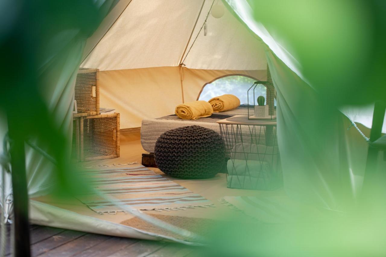 Dragonfly Gardens Urban Glamping Brasov Hotel Exterior photo