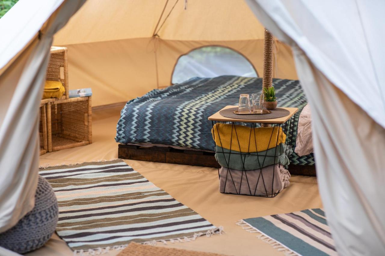 Dragonfly Gardens Urban Glamping Brasov Hotel Exterior photo