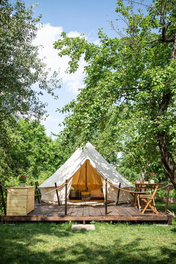 Dragonfly Gardens Urban Glamping Brasov Hotel Exterior photo