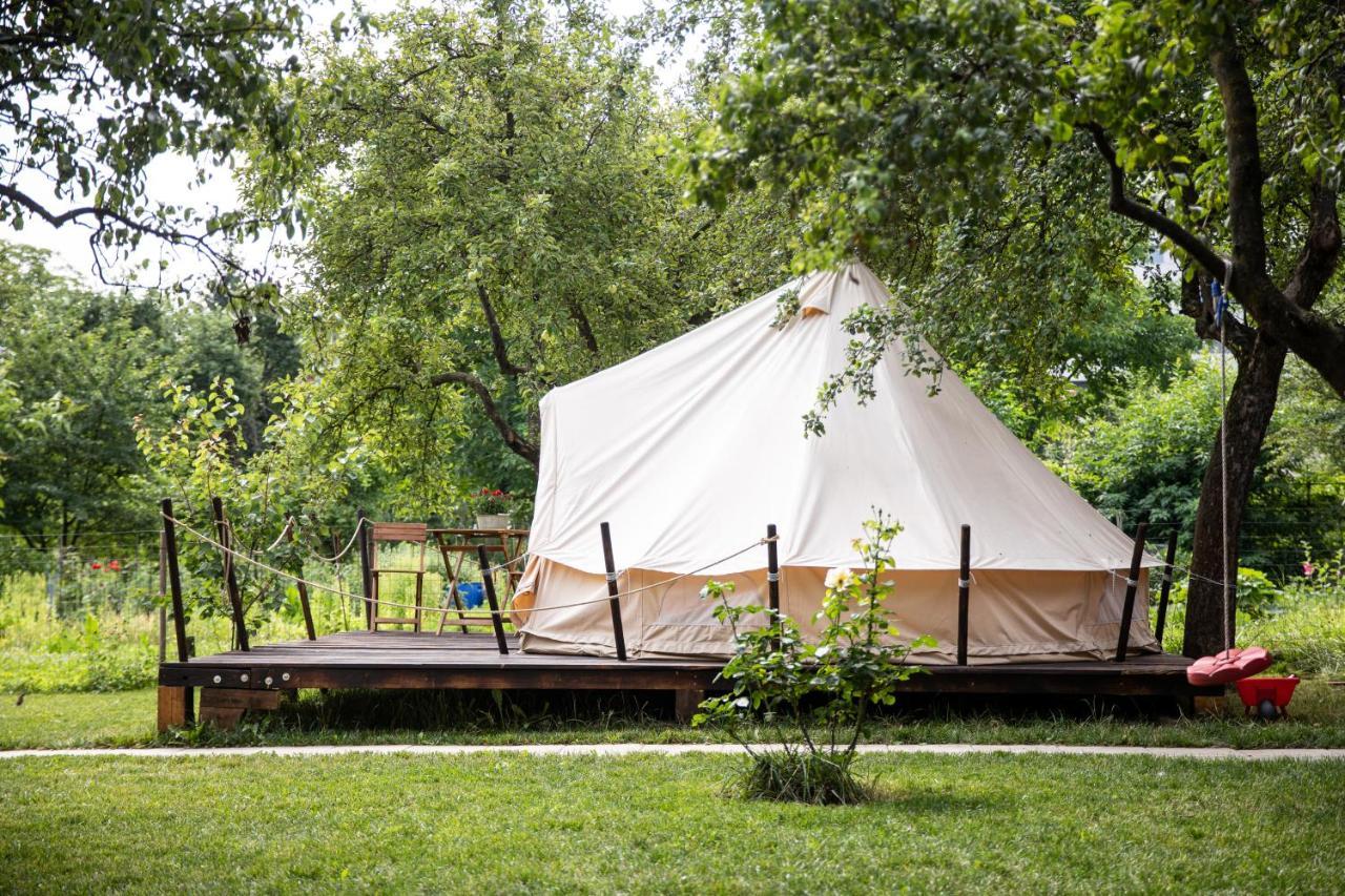 Dragonfly Gardens Urban Glamping Brasov Hotel Exterior photo