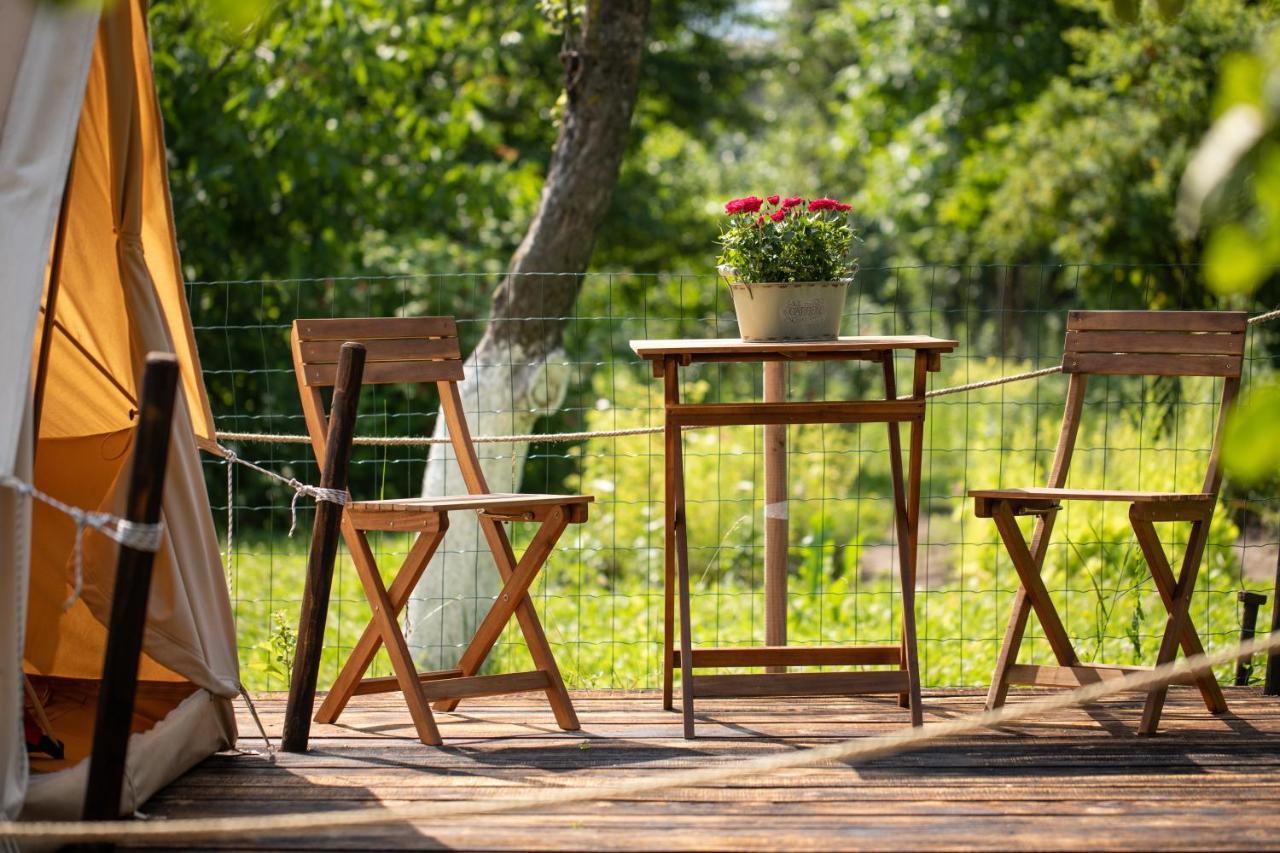Dragonfly Gardens Urban Glamping Brasov Hotel Exterior photo