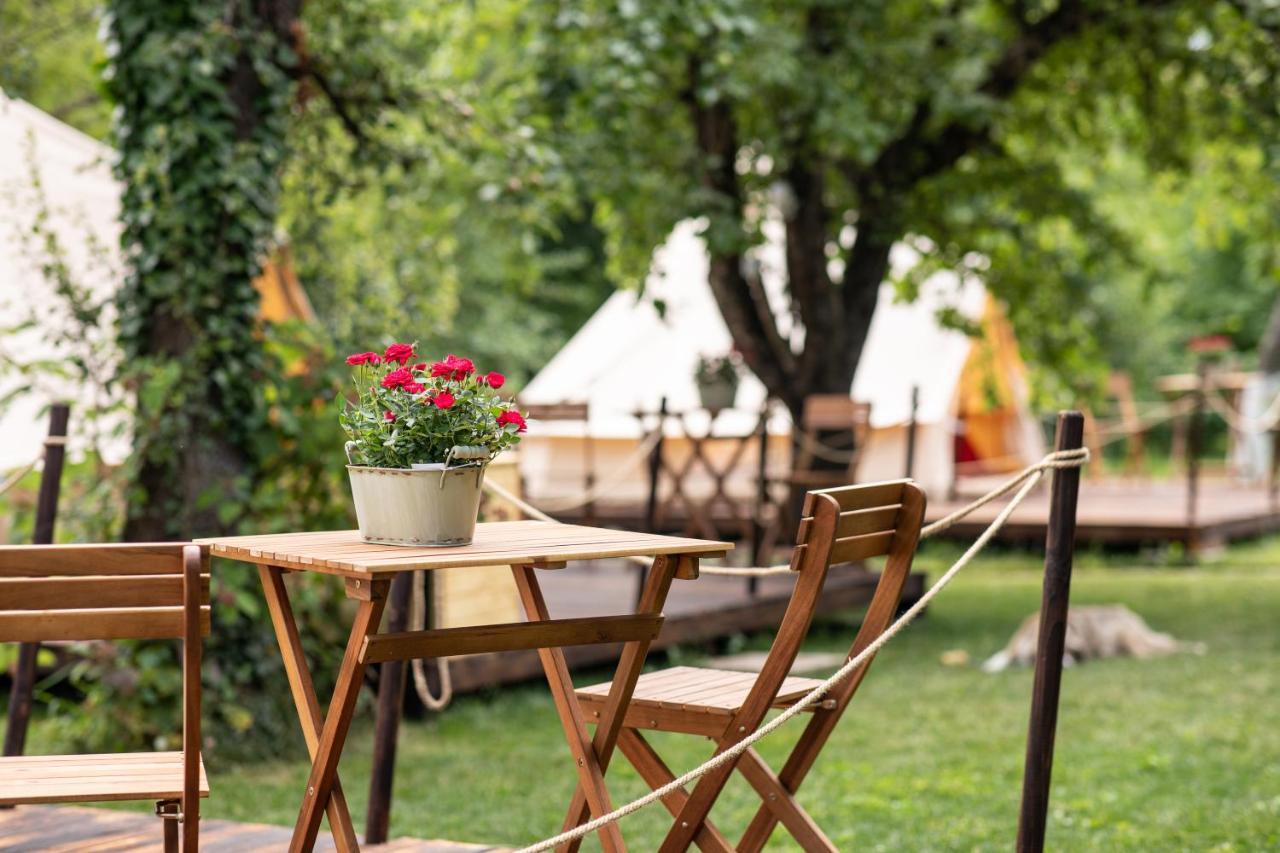 Dragonfly Gardens Urban Glamping Brasov Hotel Exterior photo