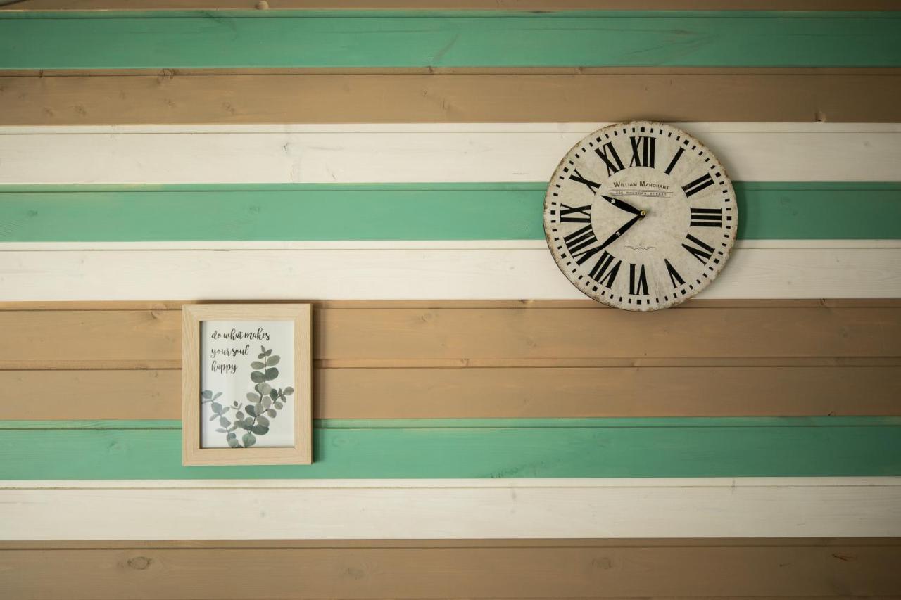 Dragonfly Gardens Urban Glamping Brasov Hotel Exterior photo