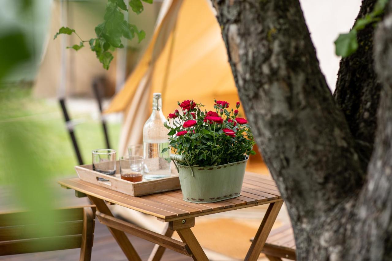 Dragonfly Gardens Urban Glamping Brasov Hotel Exterior photo