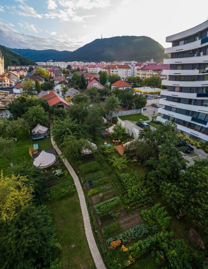 Dragonfly Gardens Urban Glamping Brasov Hotel Exterior photo
