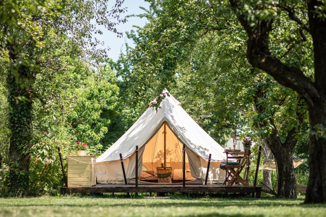 Dragonfly Gardens Urban Glamping Brasov Hotel Exterior photo