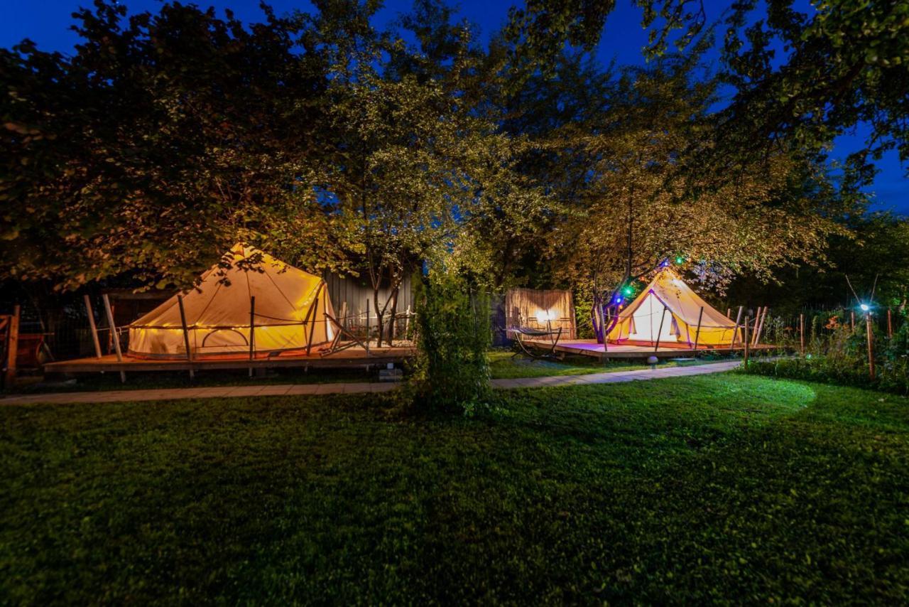 Dragonfly Gardens Urban Glamping Brasov Hotel Exterior photo