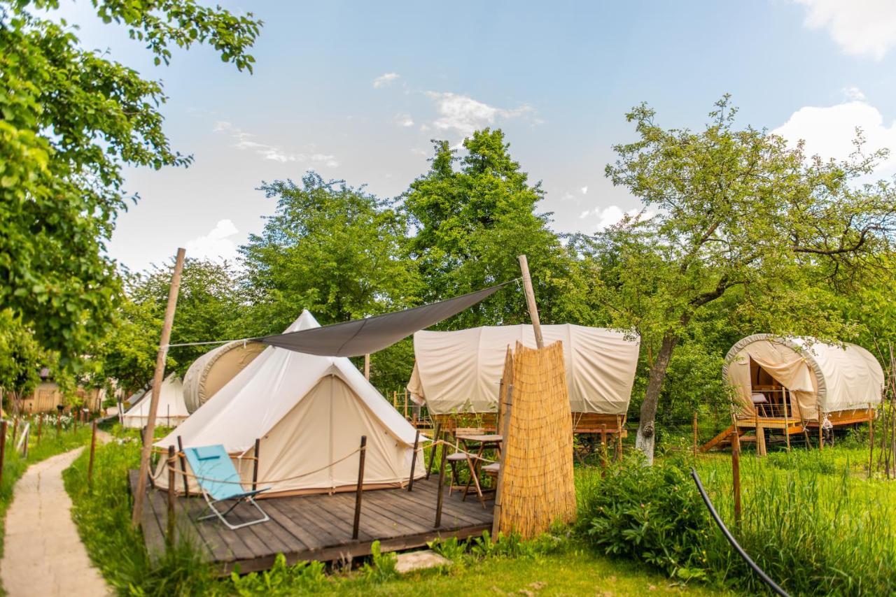 Dragonfly Gardens Urban Glamping Brasov Hotel Exterior photo