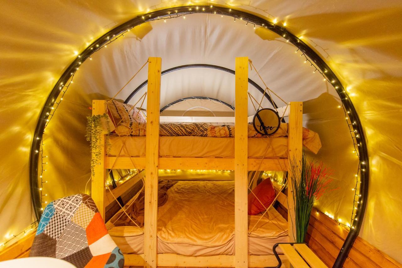 Dragonfly Gardens Urban Glamping Brasov Hotel Exterior photo