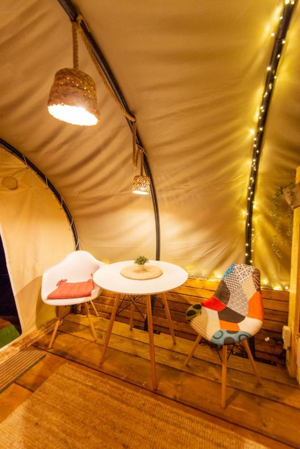 Dragonfly Gardens Urban Glamping Brasov Hotel Exterior photo