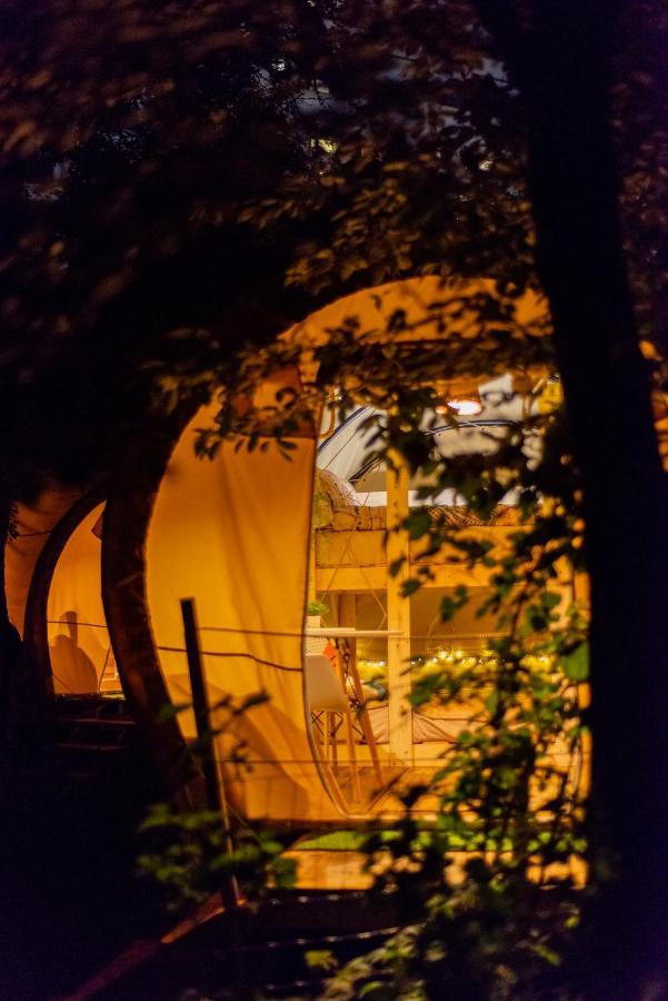 Dragonfly Gardens Urban Glamping Brasov Hotel Exterior photo