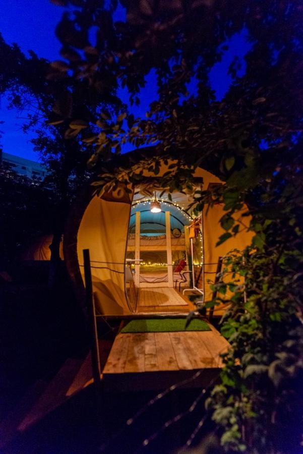 Dragonfly Gardens Urban Glamping Brasov Hotel Exterior photo