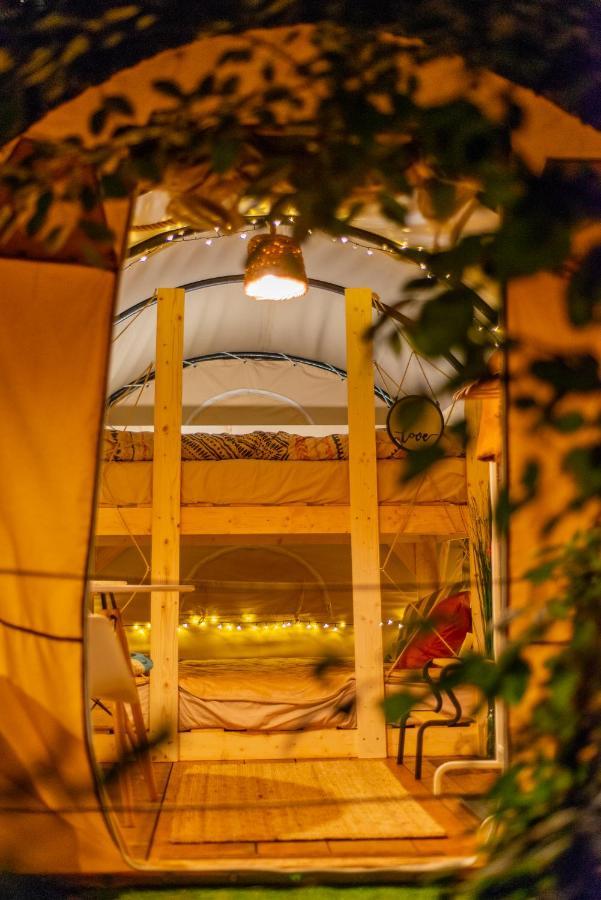 Dragonfly Gardens Urban Glamping Brasov Hotel Exterior photo
