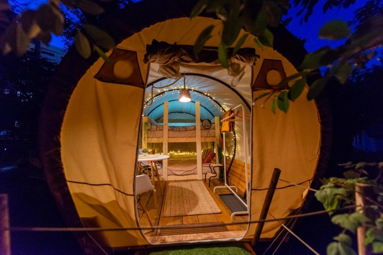 Dragonfly Gardens Urban Glamping Brasov Hotel Exterior photo
