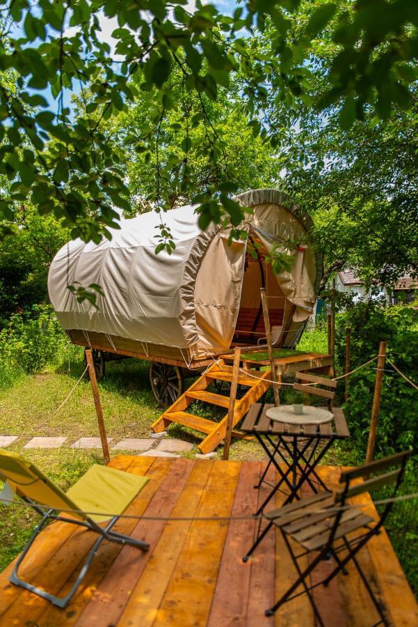 Dragonfly Gardens Urban Glamping Brasov Hotel Exterior photo