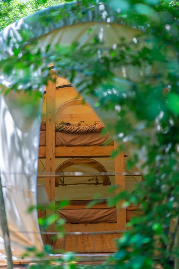 Dragonfly Gardens Urban Glamping Brasov Hotel Exterior photo