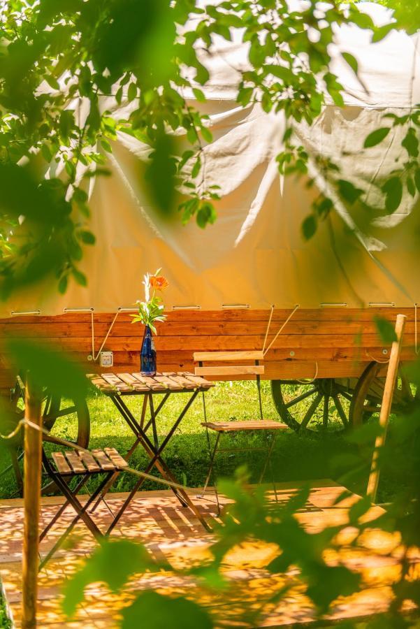 Dragonfly Gardens Urban Glamping Brasov Hotel Exterior photo