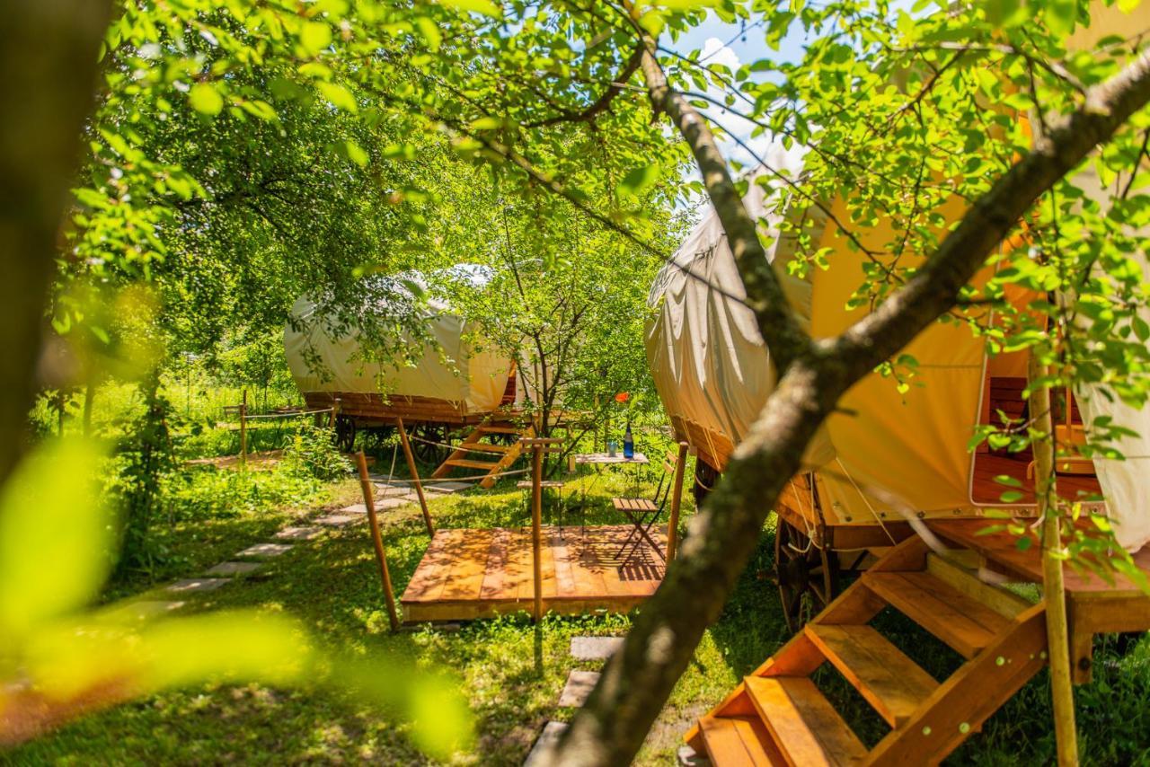 Dragonfly Gardens Urban Glamping Brasov Hotel Exterior photo