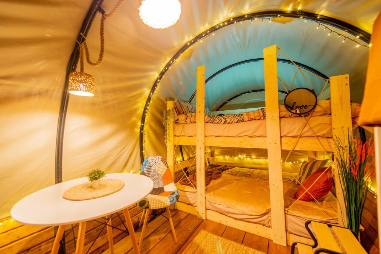 Dragonfly Gardens Urban Glamping Brasov Hotel Exterior photo