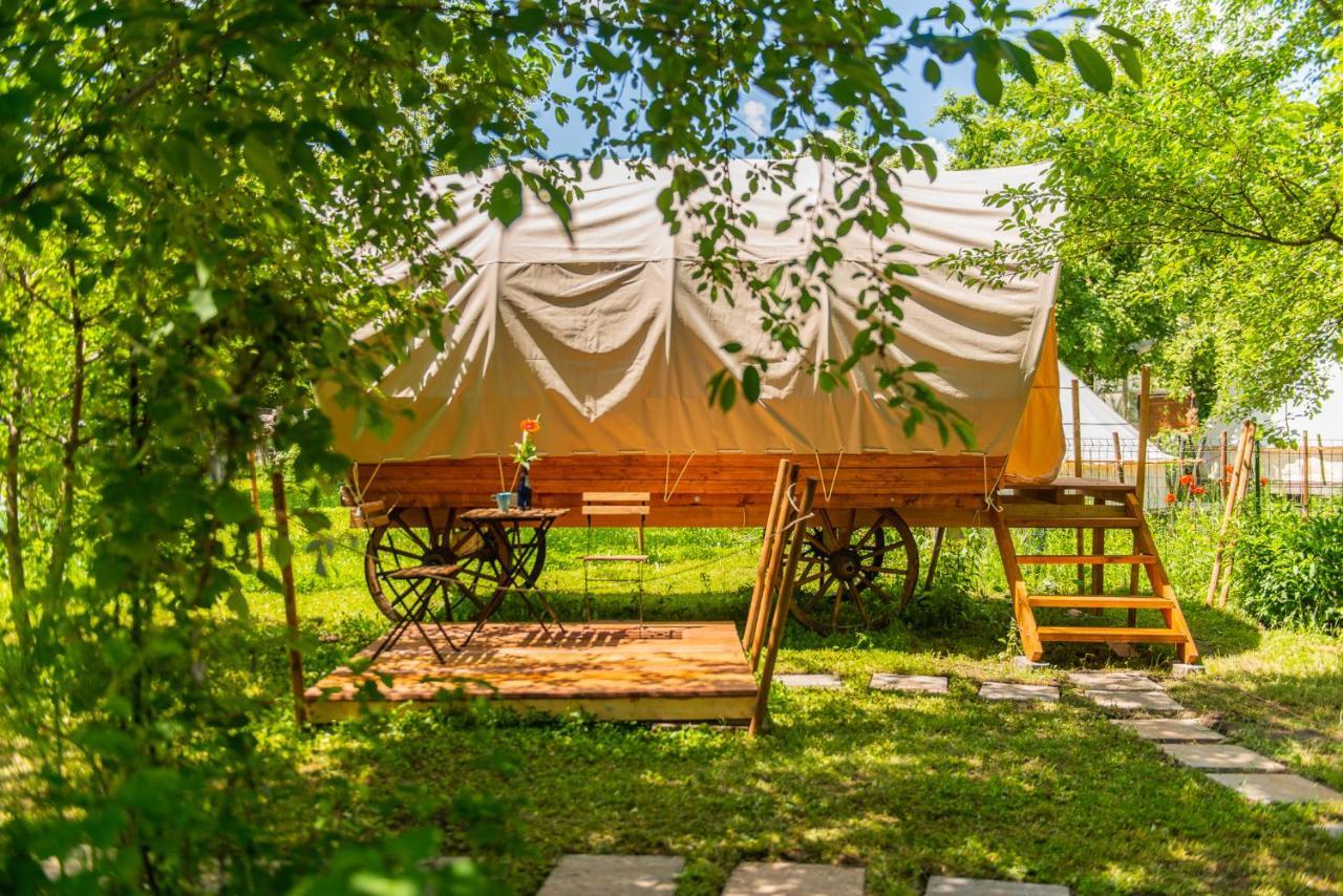 Dragonfly Gardens Urban Glamping Brasov Hotel Exterior photo
