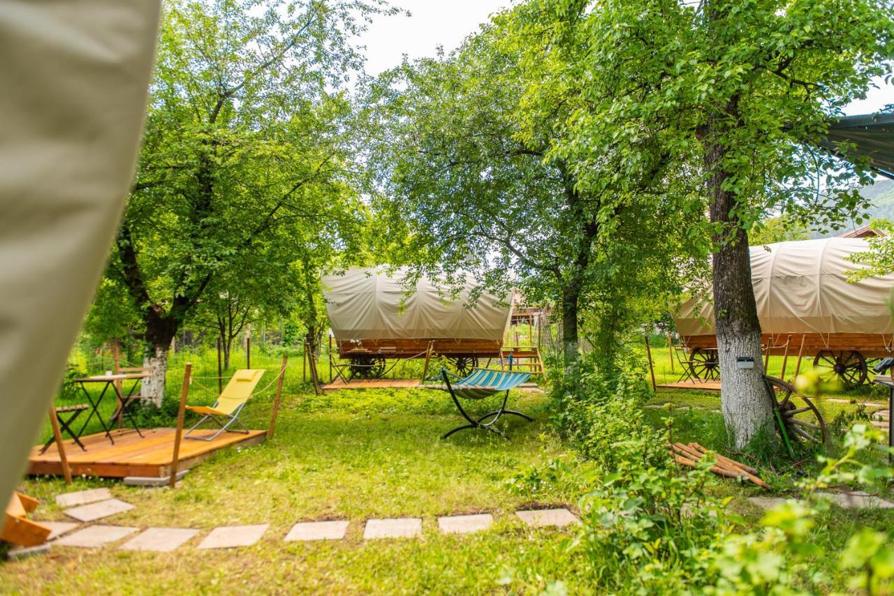 Dragonfly Gardens Urban Glamping Brasov Hotel Exterior photo